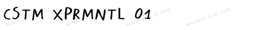 CSTM XPRMNTL 01字体转换